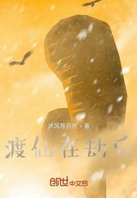 大江东去小说