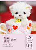 九天星辰诀叶辰