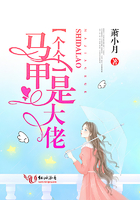 我是全公司的发泄玩具原文
