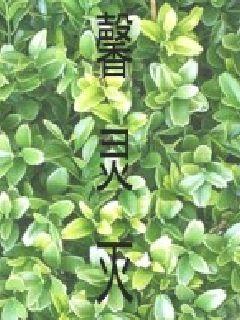 弱娇嫁纨绔全文免费阅读无弹窗