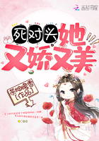 星星舰队